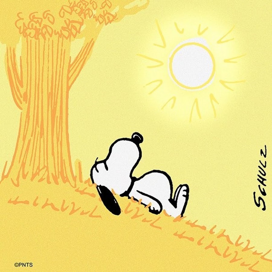 Snoopy guten morgen guten morgen